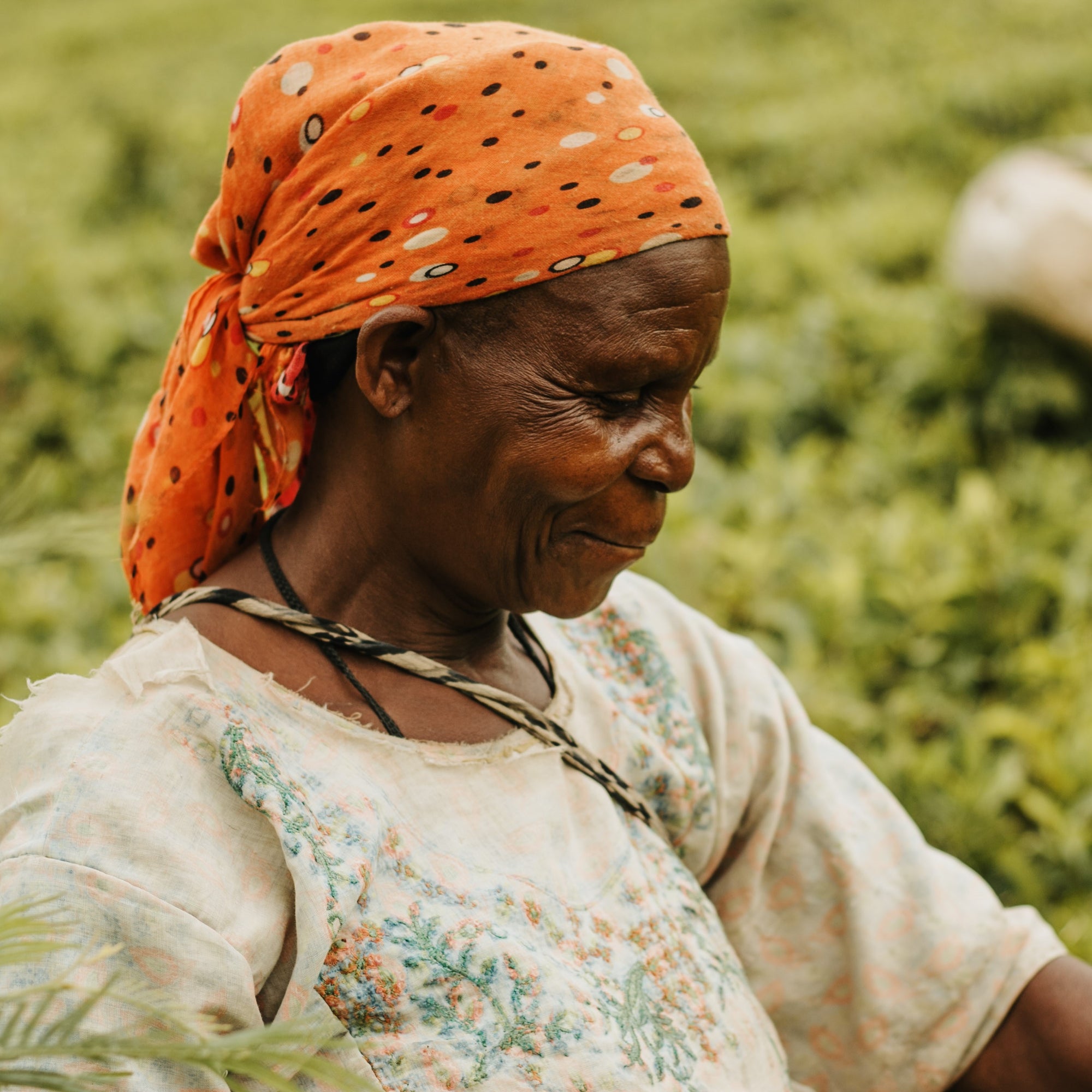KAZI YETU Zanzibar Chai Tee Tubes