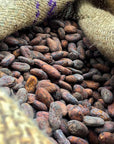 Cacao Nibs